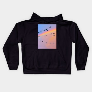 Birds Fly Over The Rainbow Kids Hoodie